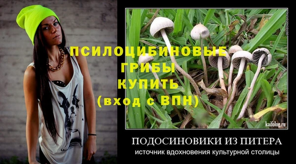 ешки Волоколамск
