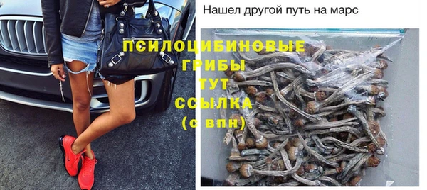 ГАЛЛЮЦИНОГЕННЫЕ ГРИБЫ Володарск