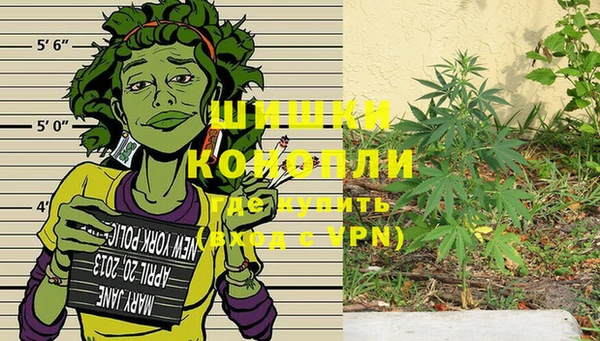ГАЛЛЮЦИНОГЕННЫЕ ГРИБЫ Володарск
