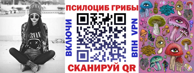 Псилоцибиновые грибы Cubensis  Шагонар 