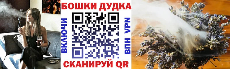 MEGA зеркало  Шагонар  Конопля Amnesia 
